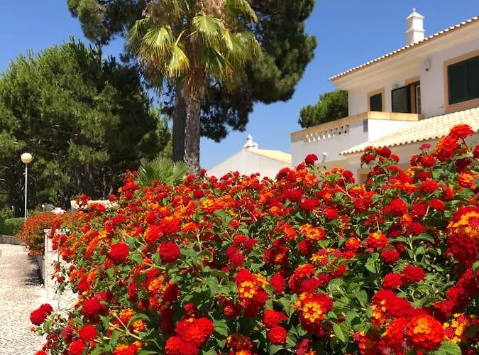 Algarve Albufeira, Quiet With Pool At 10 Mn Walk From Da Falesia * Olhos de Agua (Albufeira)